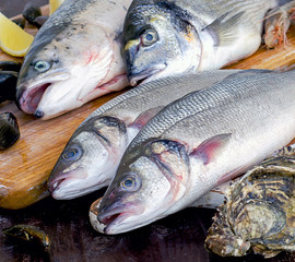 Seafood with fresh herbs and lemon.