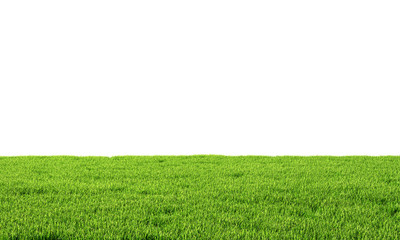 Green grass isolated on white background. 3d illustration