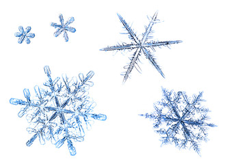 set of natural snowflakes isolated on a white background