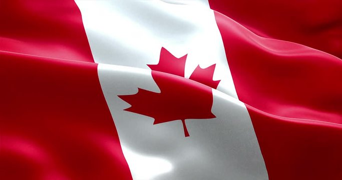 waving fabric texture of the flag of canada