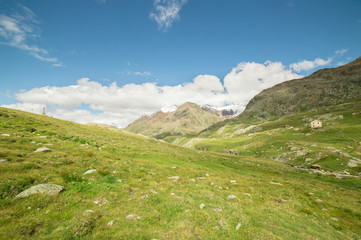 Fototapeta na wymiar panorami alpini