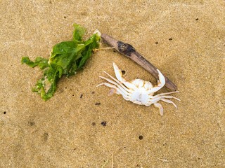 sea holidays in summer in the middle on the beach