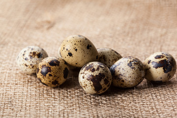 Obraz premium Quail eggs on sackcloth