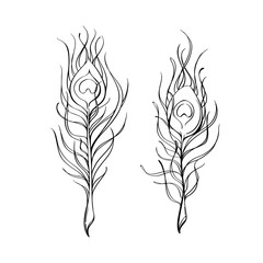 Set of two decorative stylized peacock feather. Hand-drawn vector in style of Bohemian, Boho. Stylized illustration of a magical symbol.