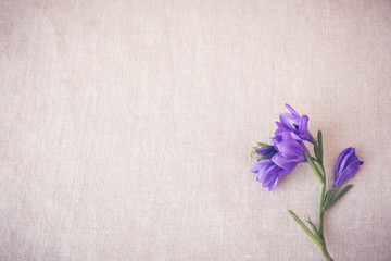 Purple blue flowers on linen toning copy space background