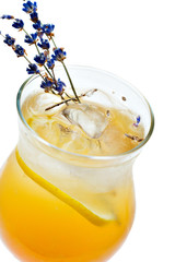 orange cocktail  in high ball glass