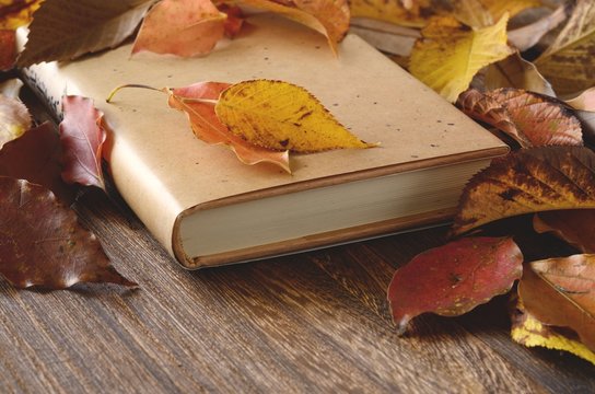 秋イメージ　落葉と本
