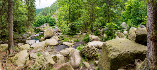 Harz © Stephanie Eichler