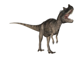 Naklejka premium 3D renderowania Ceratosaurus dinozaurów na białym tle