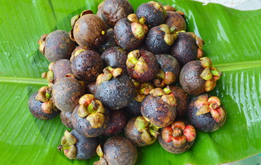 mangosteen summer tropical fruit on fresh banana leaf