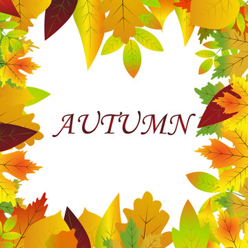 White blank on autumn background with maple leaves.