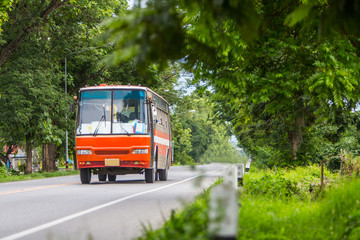 Big red old bus on rural street with the green forest
