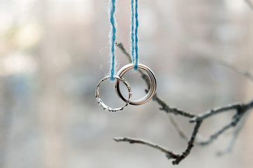Two wedding rings of white gold on a branch