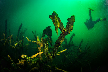 Fototapeta premium At the bottom of the river