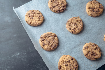 baking chocolate biscuits