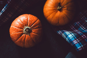 Close up orange pumpkins on plaid background. Fall symbol wallpaper, autumn cosiness. Thanksgiving Day concept. Still life vegetables. Halloween holiday. Card, text place, copyspace.