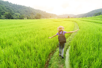 Woman traveler walking on green rice terraces field