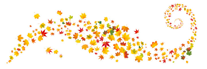 Bunte Herbstblätter als Hintergrund