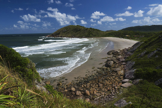 Honey Island