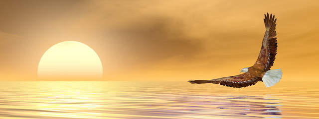 Obraz na płótnie Canvas Eagle flying to the sun - 3D render