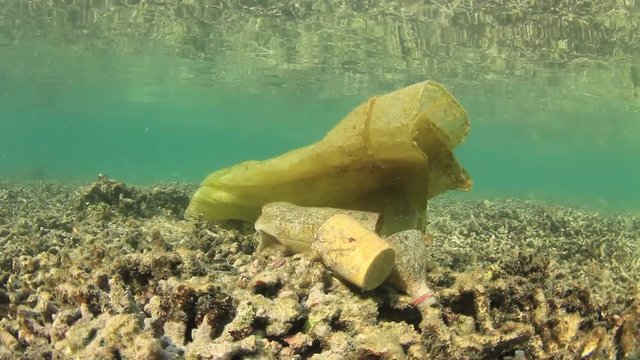 Plastic bottles and bags pollution underwater in ocean environment