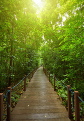 Fototapeta premium Boardwalk in the park