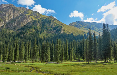 Fototapeta na wymiar Tian Shan mountains. Kyrgyzstan, Central Asia