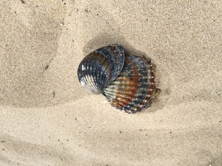sea holidays in summer in the middle on the beach