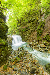 Fototapeta premium 山奥の滝