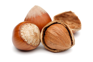 Hazelnuts 