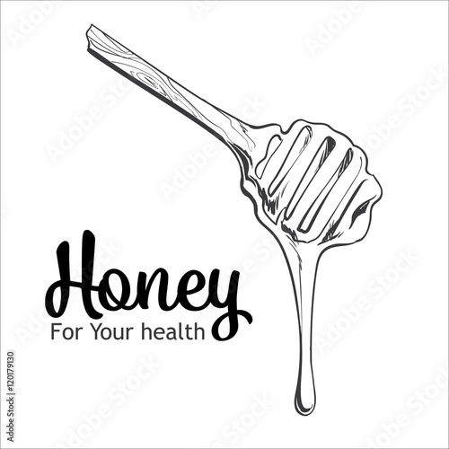 "Wooden honey dipper, sketch style vector illustration isolated on