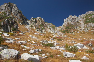 岩石に覆われた草原