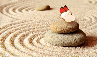 Fototapeta na wymiar Butterfly on a zen stone
