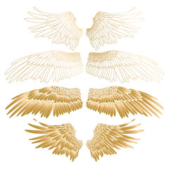 Graphic wings collection