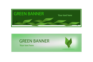 Green ecological banner with green leaves