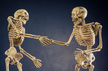 Two of skeleton businessman shaking hands