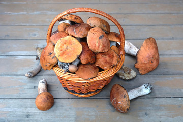 Still life with crop of many edible mushrooms in brown wicker basket on wooden background front outdoor front view horizontal