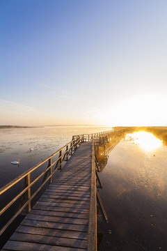 Germany, Bad Buchau, Lake Feder, wooden boardwalk in the morning