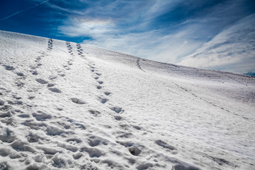 Fototapeta na wymiar Footprints in the snow leading to the top, Alps, Austria
