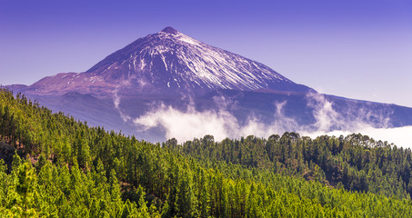 Fototapeta premium Teide park and Teide Volcano in winter season, Tenerife, Canary Islands, Spain