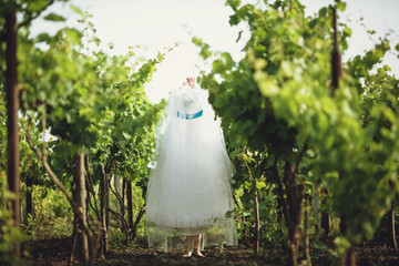 Beautiful bridal dress among the green grape