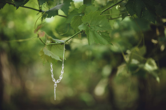 Expensive jewelry among the green grape