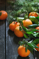 Fototapeta na wymiar Tangerines in Christmas decor