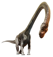 Omeisaurus from the Jurassic era 3D illustration © warpaintcobra