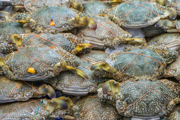 Fresh crab seafood in ice bucket at market