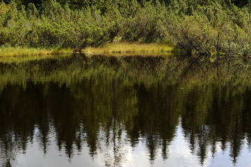 Three lake moor (Trijezerni slat), National Park Sumava, Bohemian forest, Czech Republic