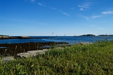 Beautiful Maine Coastline