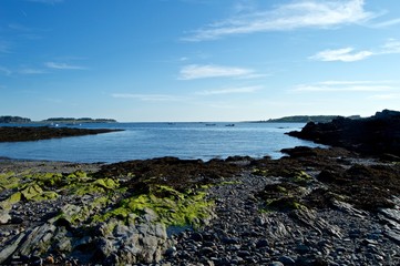 Beautiful Maine Coastline