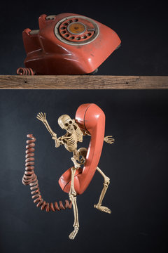 skull cling to the telephone that falling from above