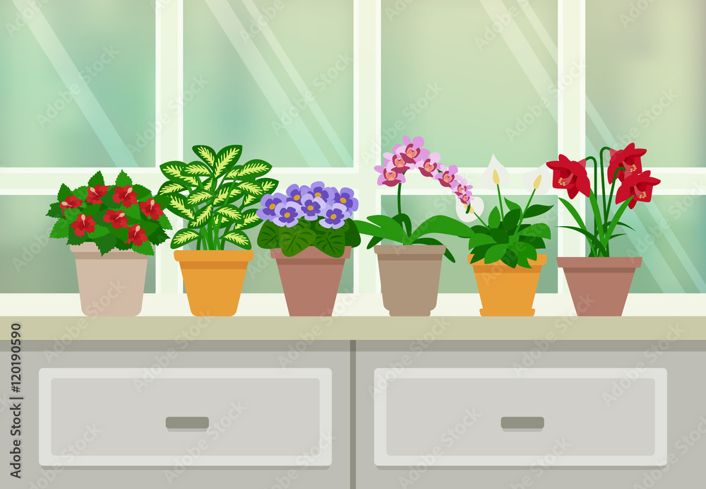 Wall mural houseplants background illustration